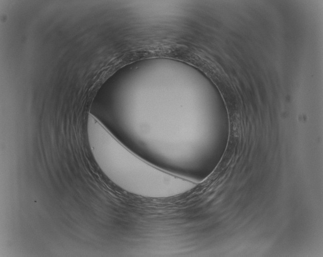 X0000076421298200610061008