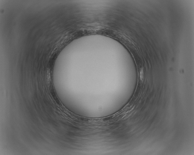 X0000076421299200610061008