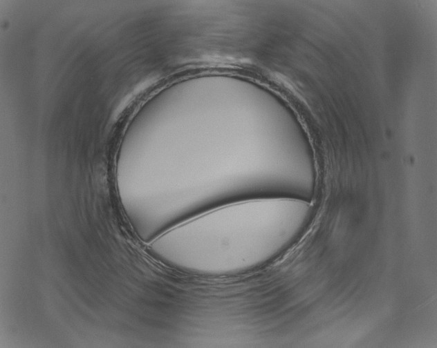 X0000076421307200610061008