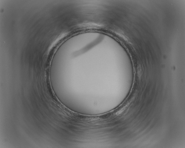 X0000076421309200610061009