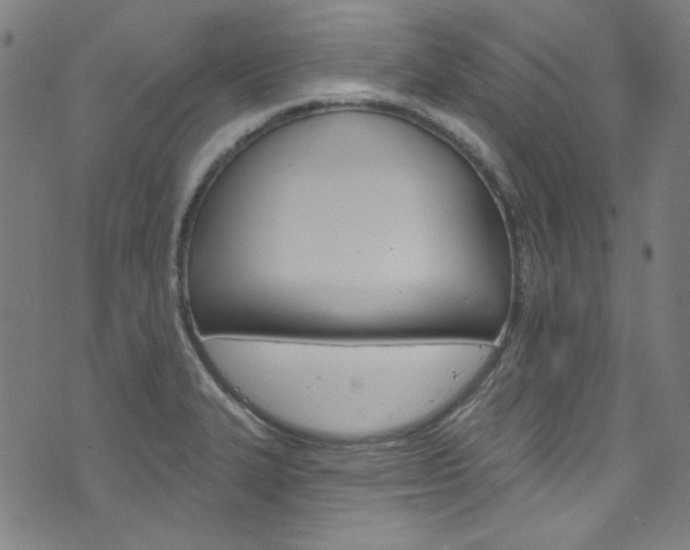 X0000076421327200610061009
