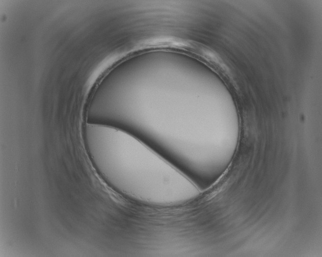 X0000076421328200610061009