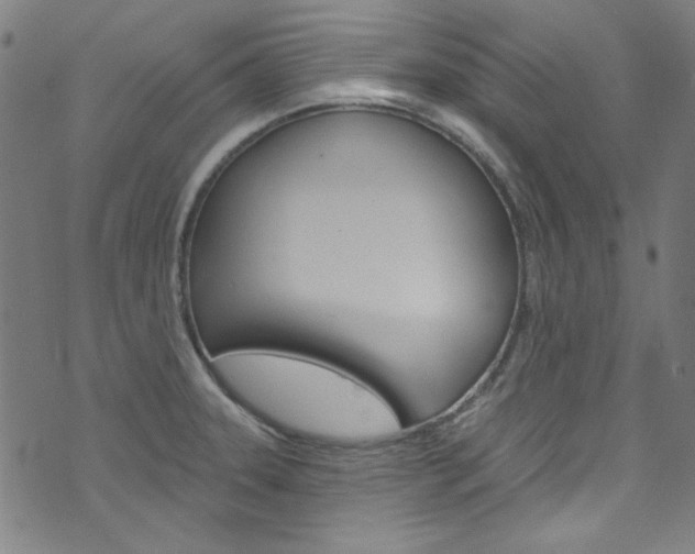 X0000076421331200610061009