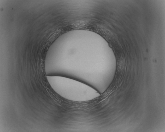 X0000076421346200610061008