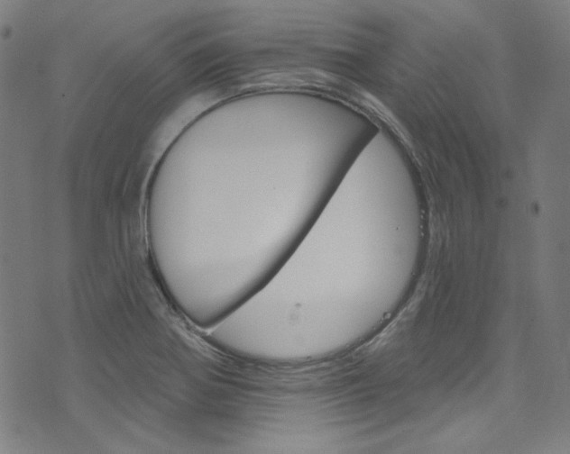 X0000076421370200610061008