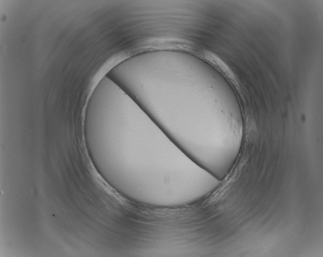 X0000076421386200610061008