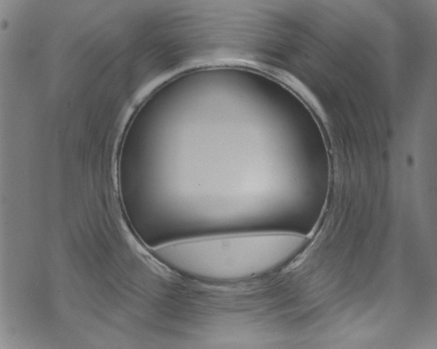 X0000076421388200610061008