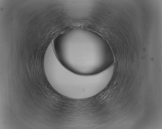 X0000076421394200610061007