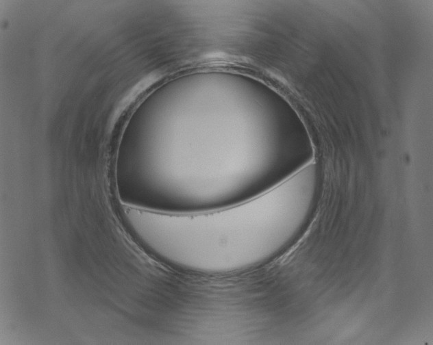 X0000076421410200610061007
