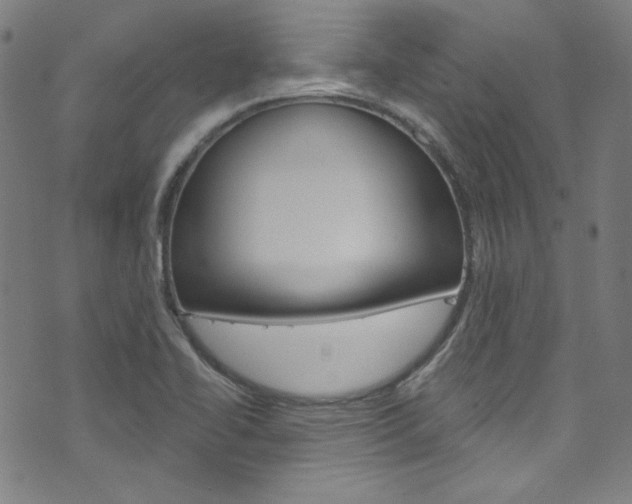 X0000076421414200610061007