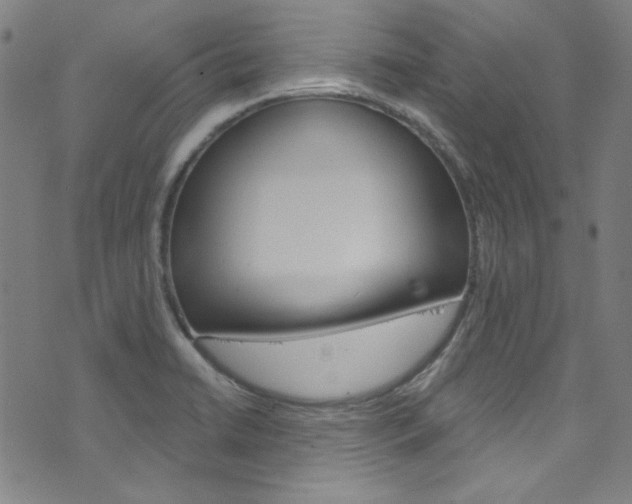 X0000076421422200610061007