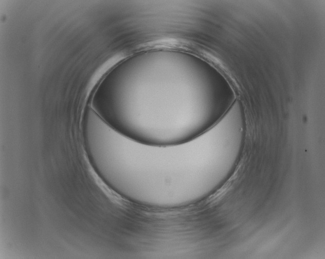 X0000076421426200610061007