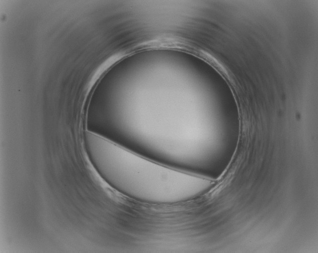 X0000076421434200610061007