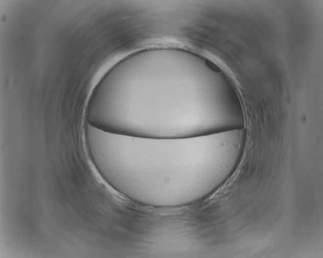 X0000076421440200610061008