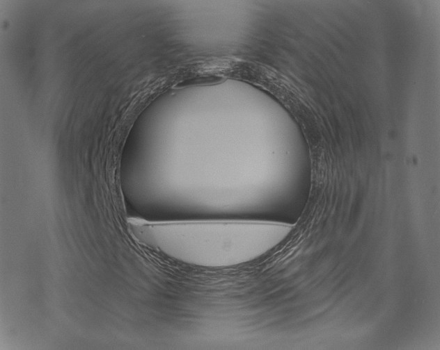 X0000076421441200610061007