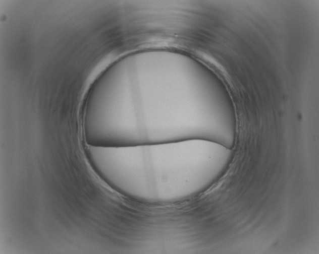 X0000076421467200610061006