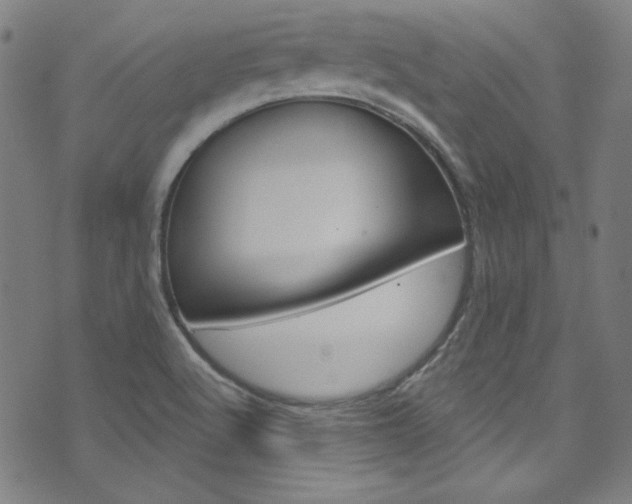 X0000076421512200610061005