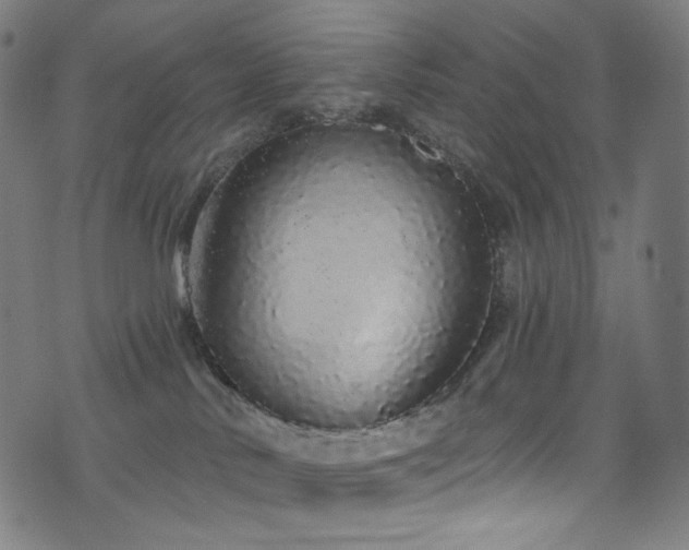 X0000076420042200610061216