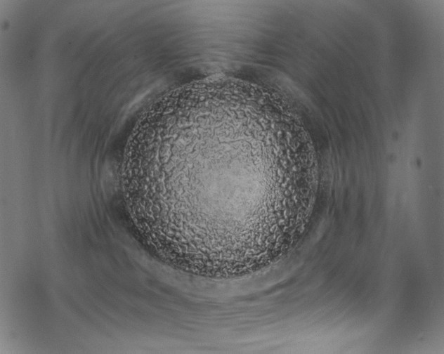 X0000076420043200610061216