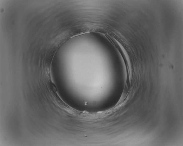 X0000076420045200610061216