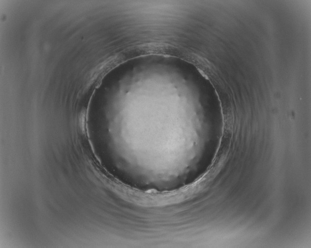 X0000076420047200610061215