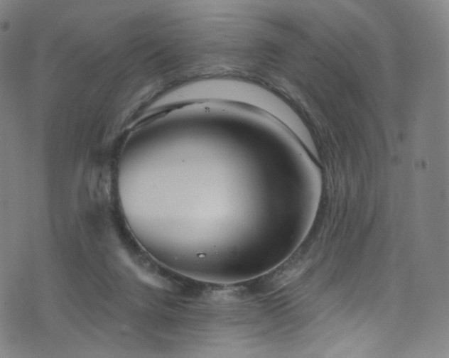 X0000076420072200610061215