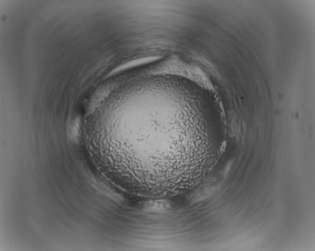X0000076420077200610061215