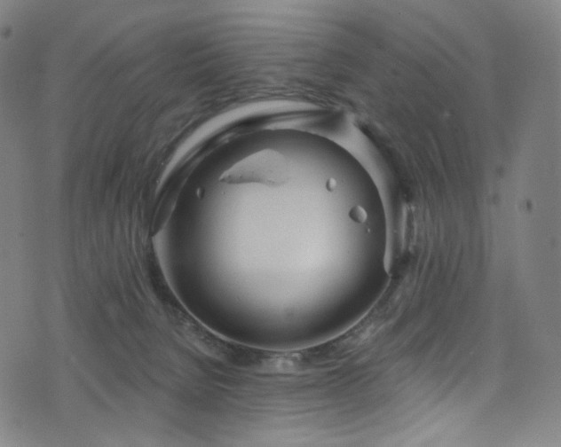X0000076420080200610061215