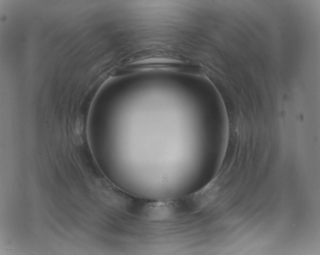X0000076420082200610061215