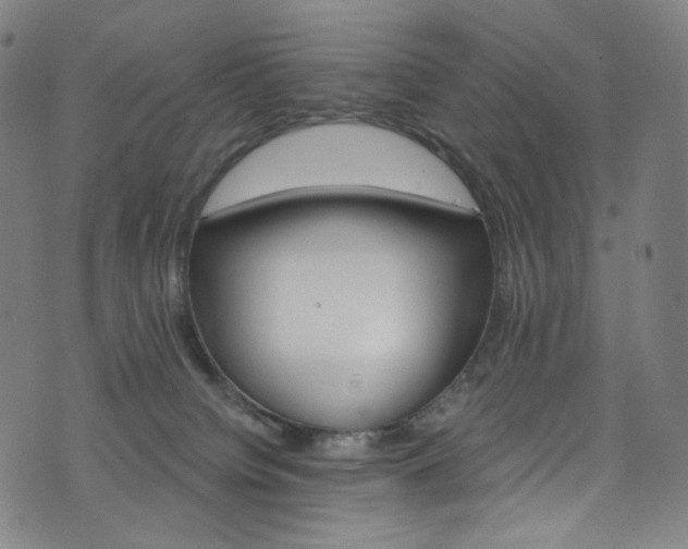 X0000076420084200610061215