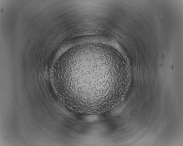 X0000076420085200610061215