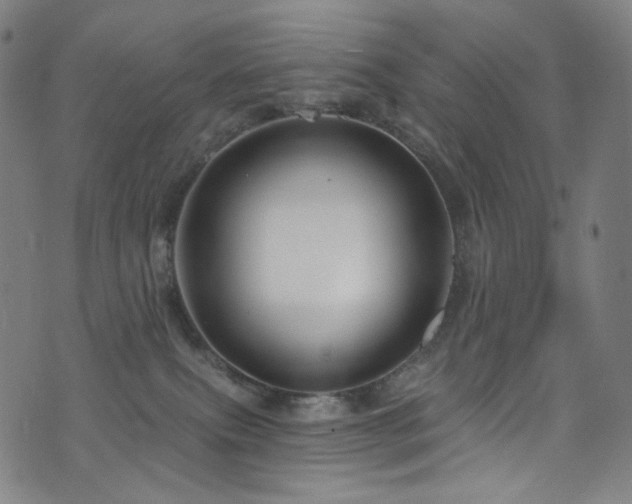 X0000076420087200610061215