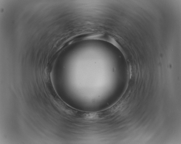 X0000076420088200610061215