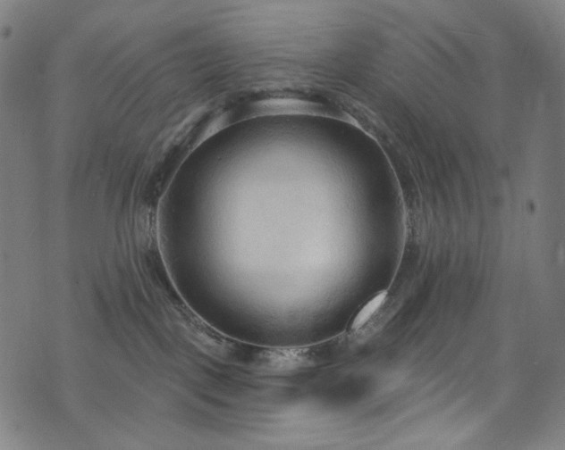 X0000076420093200610061215