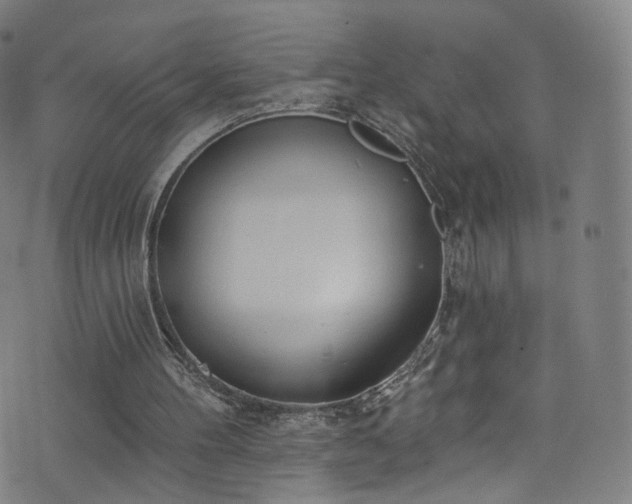 X0000076420100200610061215