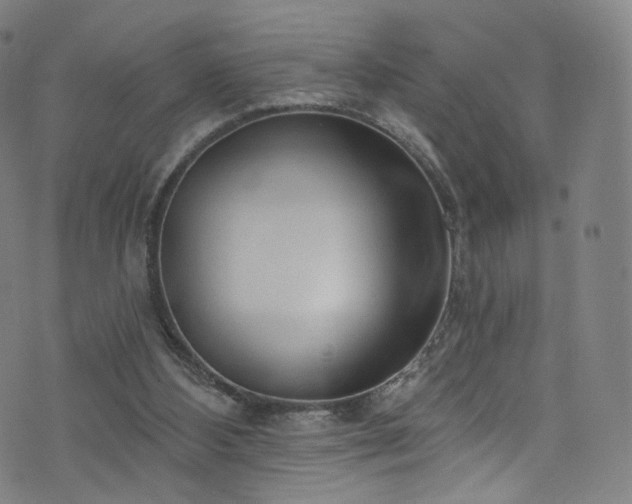 X0000076420108200610061214