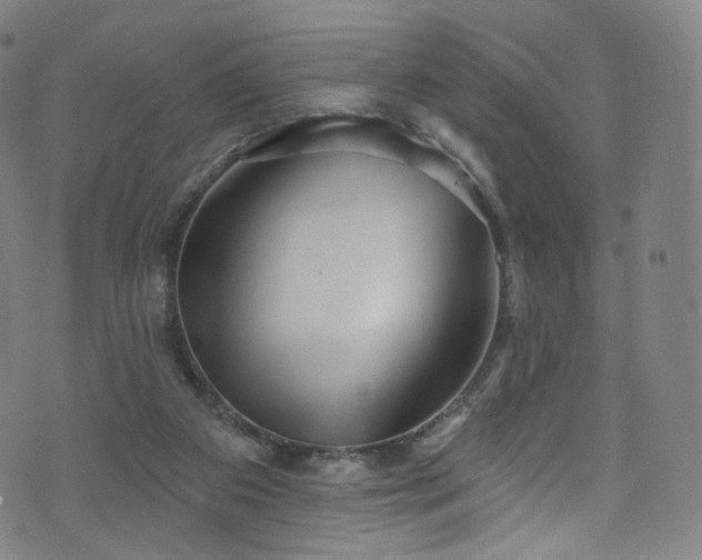 X0000076420113200610061214