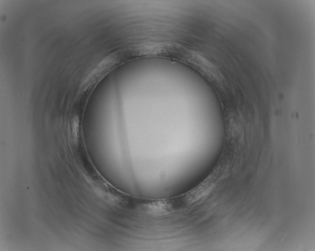 X0000076420118200610061214