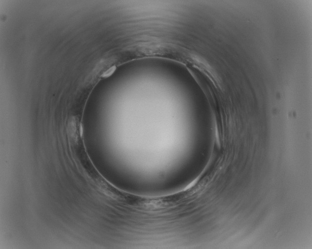 X0000076420121200610061214