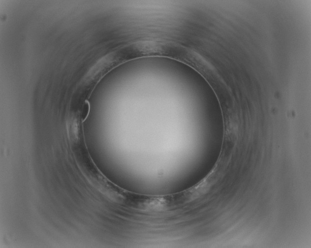 X0000076420124200610061214