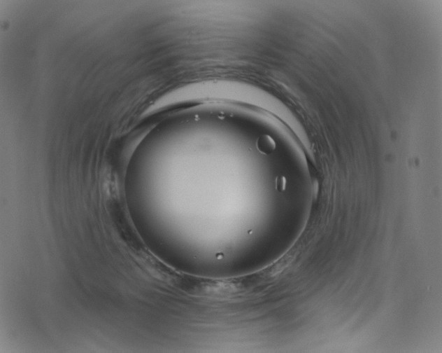 X0000076420125200610061214
