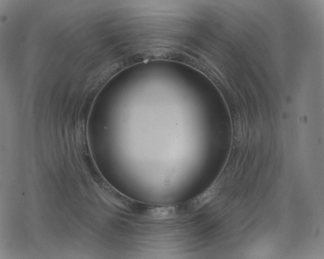 X0000076420126200610061214