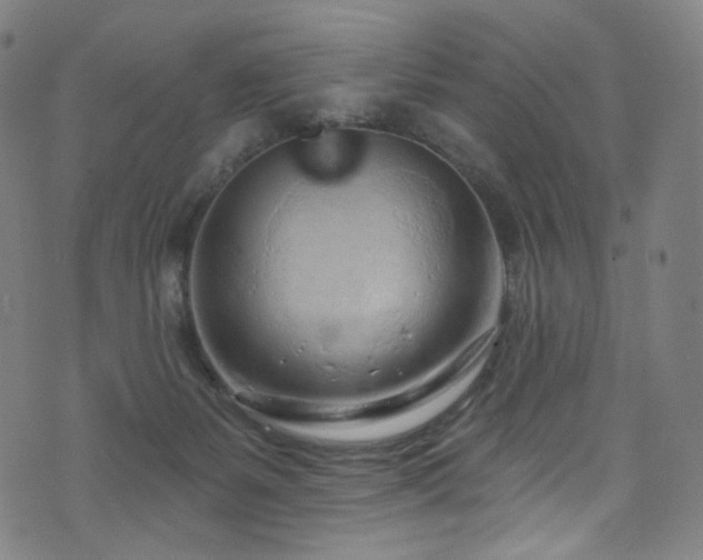 X0000076420127200610061214