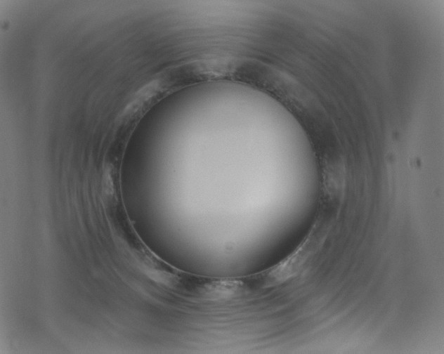 X0000076420128200610061214