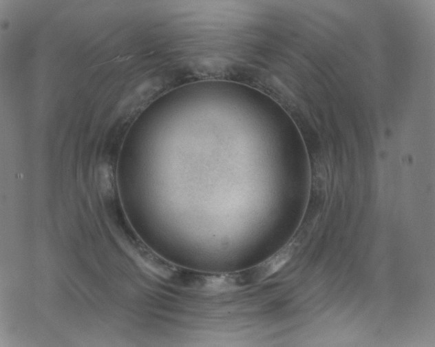 X0000076420130200610061214