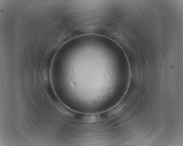 X0000076420131200610061214