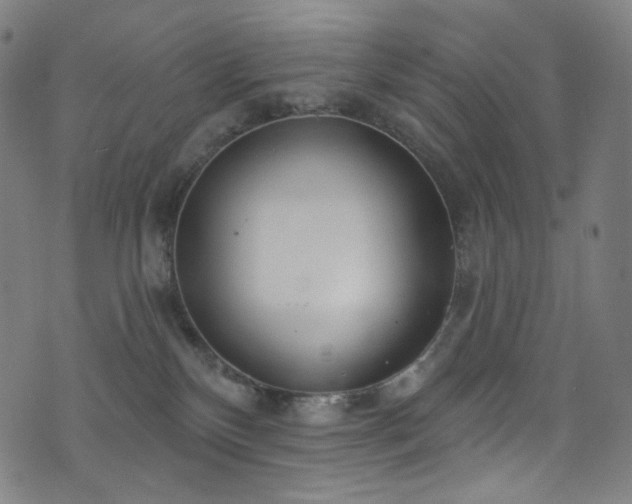 X0000076420136200610061214