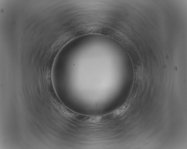 X0000076420138200610061214