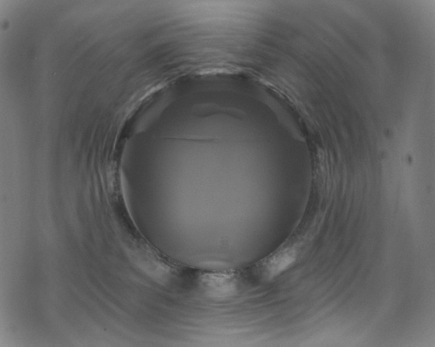 X0000076420139200610061214