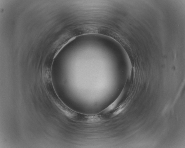 X0000076420141200610061214